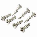 Stainless and Steel Screw